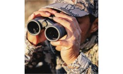 Binoculars Leupold BX-4 Pro Guide HD 10x42