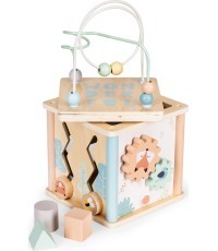 Wooden educational cube sorter blocks ECOTOYS
