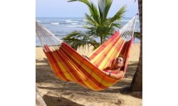 Hammock Amazonas Barbados Papaya