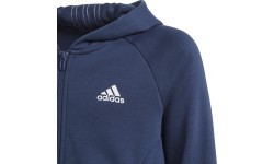 Спортивный костюм Adidas для девочек G Hooded Co Ts Blue GM8930
