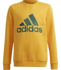 Adidas B BL Sweat Kids Sweatshirt Green Yellow GS4274