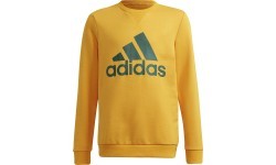 Adidas Džemperis Paaugliams B Bl Sweat Green Yellow GS4274