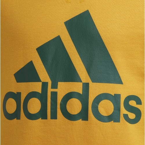 Детский свитшот Adidas B BL Sweat, зелёно-жёлтый, GS4274