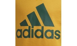 Adidas Džemperis Paaugliams B Bl Sweat Green Yellow GS4274