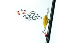 Kabliukų ir masalų laikiklis Filfishing 4446