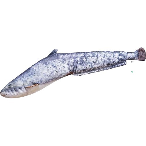 The Small Catfish Pillow