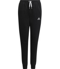 Adidas Kelnės Paaugliams Ent22 Sw Pnty Black H57518