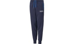Спортивные штаны Puma Alpha Sweat Pants для подростков, синие 589286 06