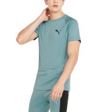 Мужская футболка Puma RTG Tee Mineral Green 585827 50