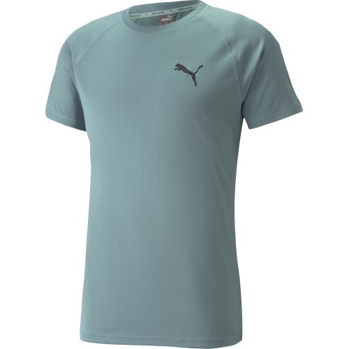 Мужская футболка Puma RTG Tee Mineral Green 585827 50