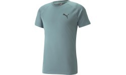 Puma RTG Tee Men's T-Shirt Mineral Green 585827 50