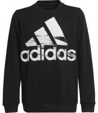 Толстовка для подростков Adidas Logo Sweat, черная HA4011