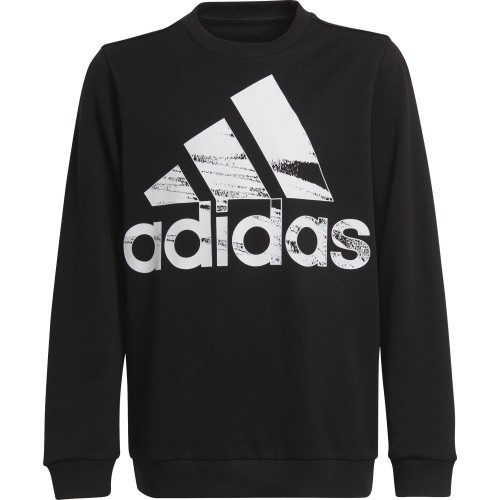 Толстовка для подростков Adidas Logo Sweat, черная HA4011