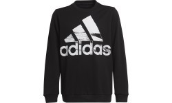 Толстовка для подростков Adidas Logo Sweat, черная HA4011