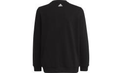 Adidas Logo Sweat Hoodie for Teens, Black HA4011