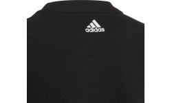 Толстовка для подростков Adidas Logo Sweat, черная HA4011