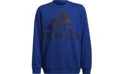 Adidas свитшот для мальчиков Logo Sweat Blue HF1824
