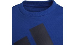 Adidas свитшот для мальчиков Logo Sweat Blue HF1824