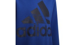 Adidas свитшот для мальчиков Logo Sweat Blue HF1824