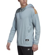 Мужская толстовка Adidas M Trvl 3S Hoodie, синяя HE2269