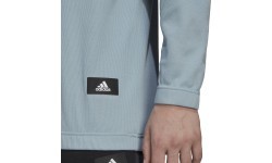 Мужская толстовка Adidas M Trvl 3S Hoodie, синяя HE2269