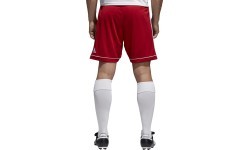 Adidas Futbolo Šortai Squad 17 Shorts Red BJ9226P