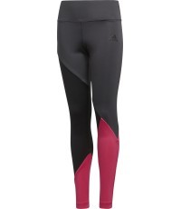 Adidas Tamprės Paaugliams Yg TR Cb Tights Grey Pink DN8428