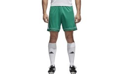 Adidas Futbolo Šortai Squad 17 Shorts Green