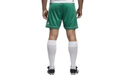 Adidas Futbolo Šortai Squad 17 Shorts Green