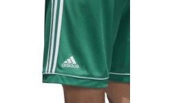 Adidas Futbolo Šortai Squad 17 Shorts Green
