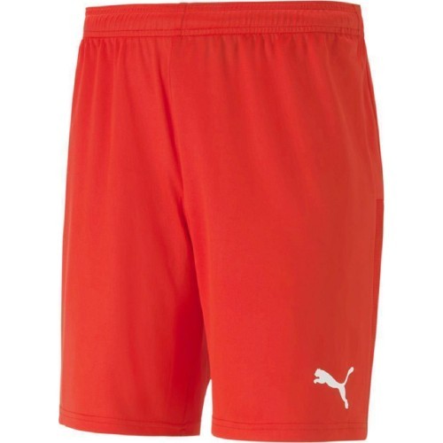 Puma Futbolo Šortai Vyrams TeamGoal 23 Knit Shorts Red 704262 01