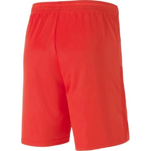 Мужские футбольные шорты Puma TeamGoal 23 Knit Shorts Red 704262 01