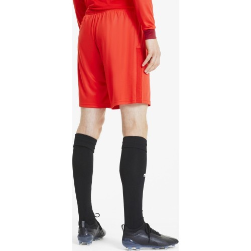 Мужские футбольные шорты Puma TeamGoal 23 Knit Shorts Red 704262 01