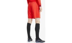 Puma Futbolo Šortai Vyrams TeamGoal 23 Knit Shorts Red 704262 01