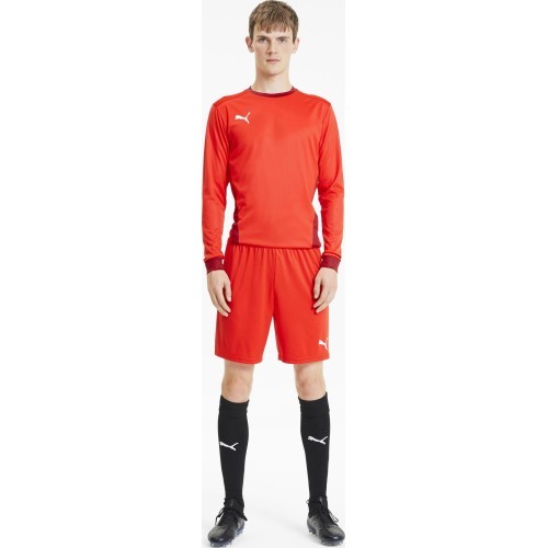 Мужские футбольные шорты Puma TeamGoal 23 Knit Shorts Red 704262 01