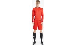 Мужские футбольные шорты Puma TeamGoal 23 Knit Shorts Red 704262 01