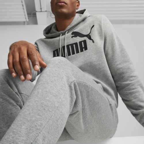 Мужские спортивные брюки Puma Ess Logo Pants Tr серые 586716 03