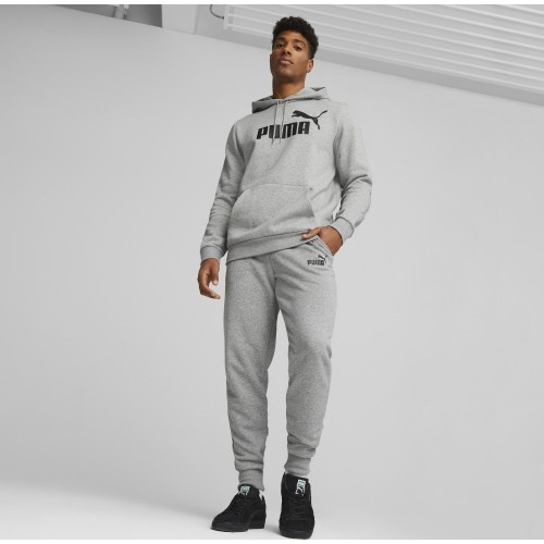 Мужские спортивные брюки Puma Ess Logo Pants Tr серые 586716 03