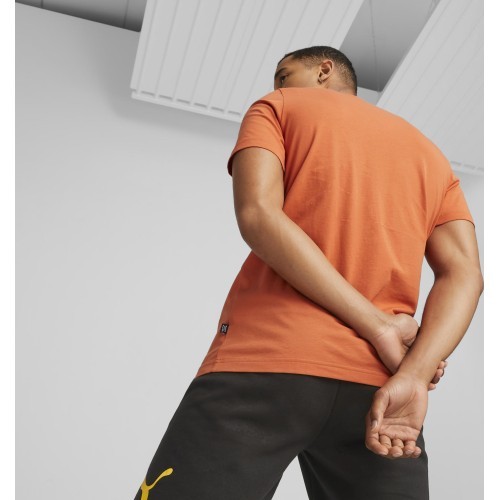Мужская футболка Puma Graphics Court Tee Chili Orange 674481 94