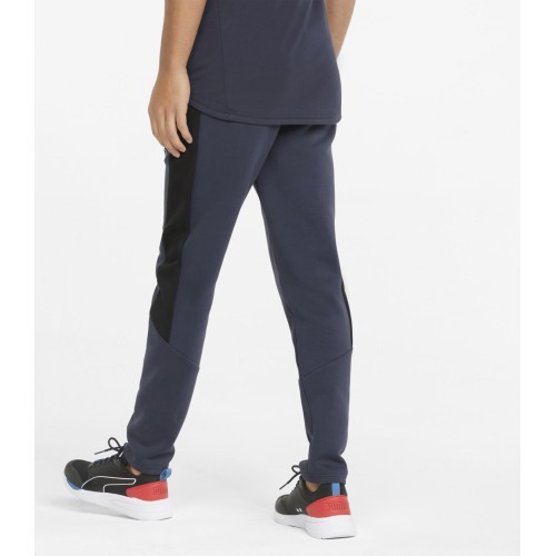 Мужские брюки Puma Evostripe Navy 847404 43