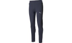 Puma Evostripe Men's Pants Navy 847404 43