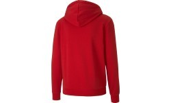 Puma мужская толстовка TeamGoal 23 Casuals Hooded Red 656708 01