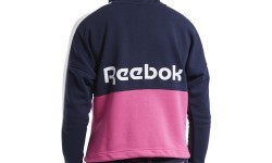 Женский свитшот Reebok Te Linear Logo Ft F Blue Pink FU2205