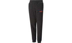 Puma Kelnės Paaugliams Ess + 2 Col Logo Pants Black 586988 61