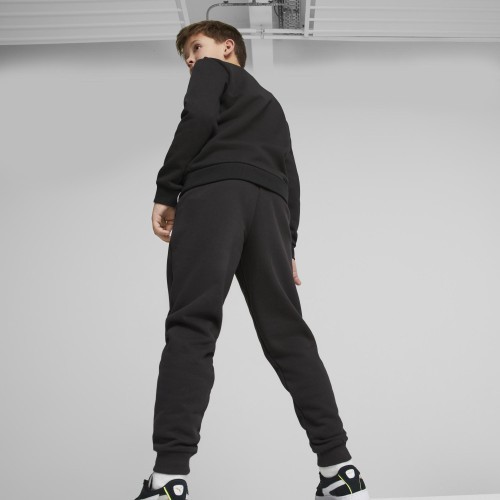 Puma Kelnės Paaugliams Ess + 2 Col Logo Pants Black 586988 61