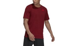 Adidas Men's T-Shirt City Elevated T Burgundy