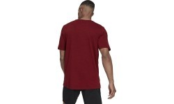 Adidas Men's T-Shirt City Elevated T Burgundy