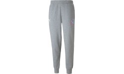 Мужские спортивные брюки Puma Neymar JR Creativ Grey 605564 06