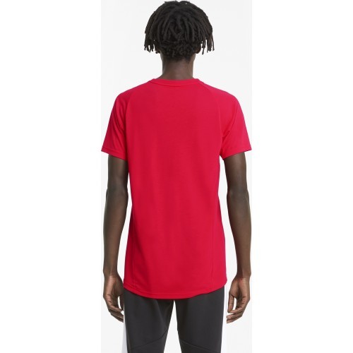 Мужская футболка Puma Evostripe Tee, красная