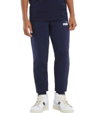 Подростковые брюки Puma Ess+ 2 Col Logo Blue 586988 96